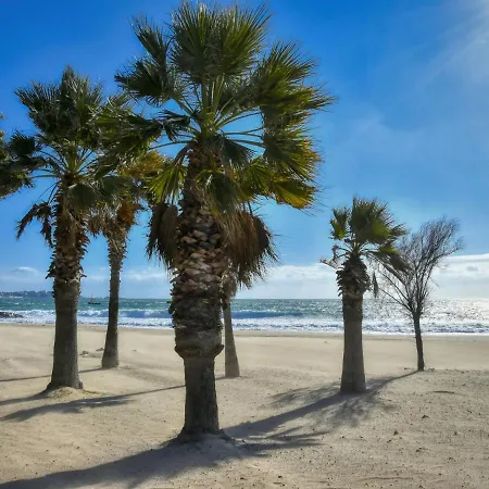 Le Capitole-8 By Interhome Appartement *